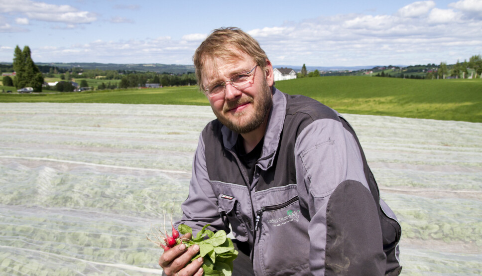 Grønnsaksprodusent Einar Dyste ved Lundstad grønt AS på Toten sitter ute i grønnsaksenga og holder et knippe små reddiker i hånda.