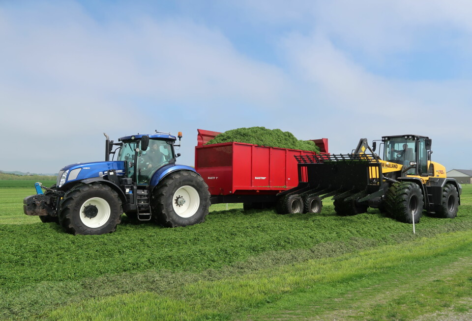 New Holland traktor med grasvogn og New Holland hjullaster i drift på jordet under grasdemoen på Jæren sommeren 2021 i regi av Ålgård Landbrukssenter.