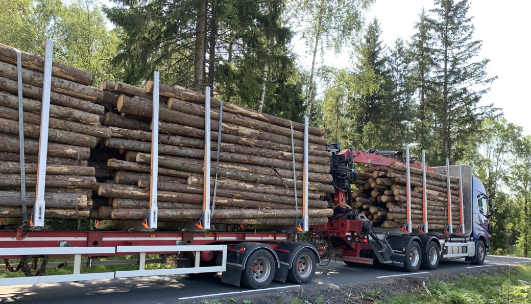 Prisøkningen frister flere til å hente ut mer sagtømmer fra skogen. Foto: Bo Hansen Prisøkningen frister flere til å hente ut mer sagtømmer fra skogen. Foto: Bo Hansen