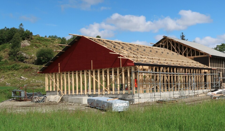 Nytt fjøs? Slik blir du en effektiv kostnadsjeger