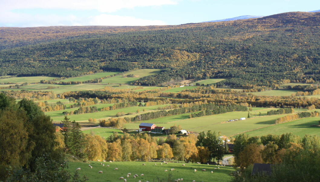 Lesja har et aktivt landbruksmiljø.