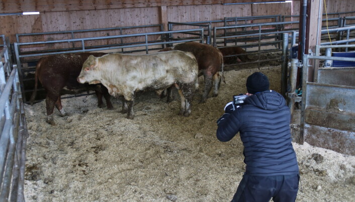 <span class=" italic" data-lab-italic_desktop="italic">Agroninja Beefie 3D</span> <span class=" italic" data-lab-italic_desktop="italic">Agroninja Beefie 3D</span>