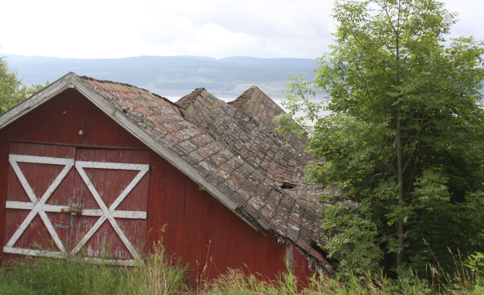 Hvem skal dyrke maten vår neste år?