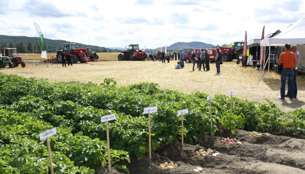 Forrige gang Potato Scandinavia ble arrangert i Norge var i 2017. Forrige gang Potato Scandinavia ble arrangert i Norge var i 2017.