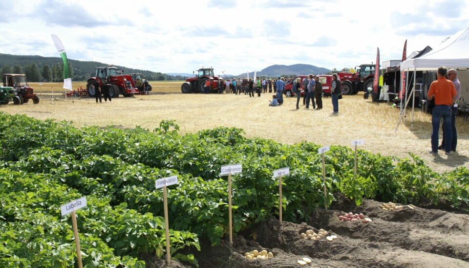 Forrige gang Potato Scandinavia ble arrangert i Norge var i 2017.