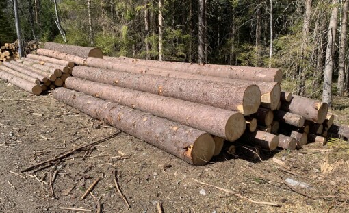 Krigen i Ukraina påvirker tømmerprisene i Norge