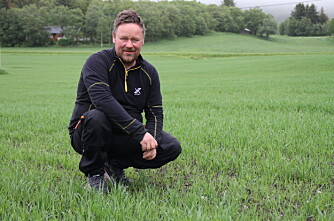 Arne-Morten dyrker korn på 65 grader nord