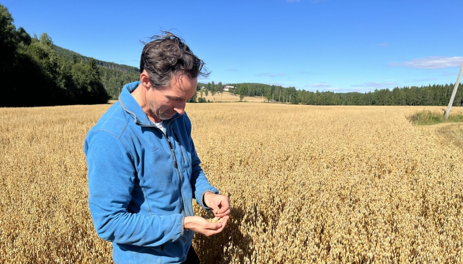 Arnt Aage Børresen driver stort med korn og potet og gjør det godt.
