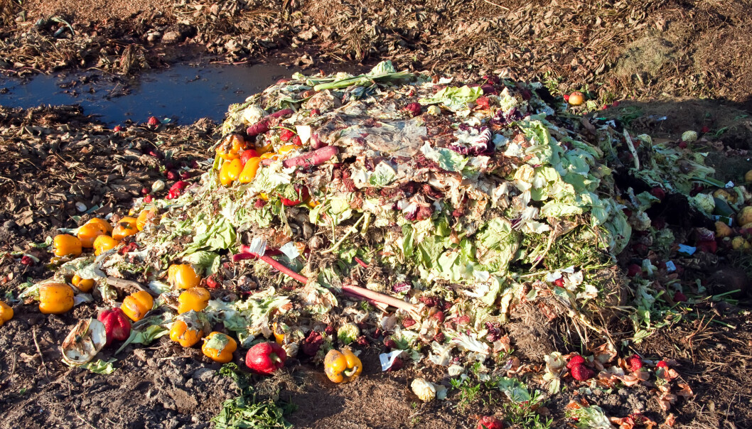Matavfall kan både forvandles til biogass og HVO-diesel. Foto: Colourbox Matavfall kan både forvandles til biogass og HVO-diesel. Foto: Colourbox