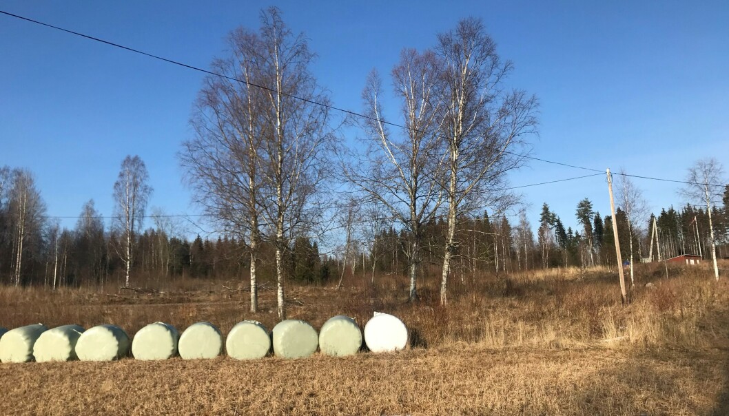 Gamle kobberledninger uten funksjon skaper bry. Gamle kobberledninger uten funksjon skaper bry.