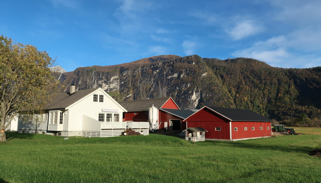Nauste Østre har vært i familien i generasjoner, og bygningene på tunet har blitt ombygd i flere omganger.