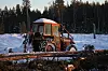 En eldre traktor med vinsj i skogen