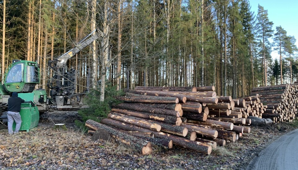 I fjor ble det hogd 60 000 kubikkmeter mer tømmer enn i 2021.