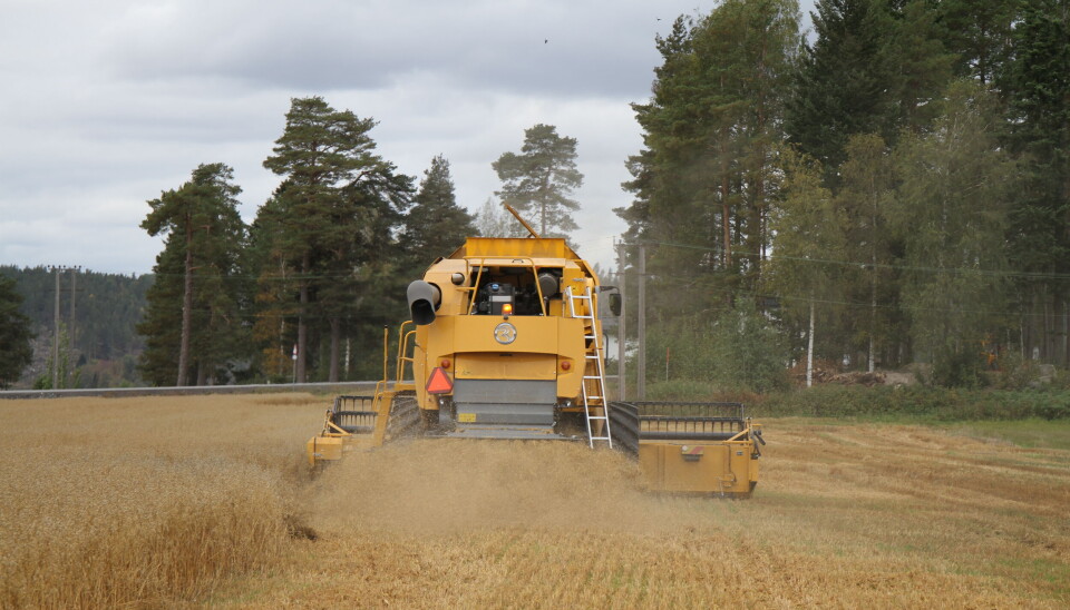 En tresker fotografert bakfra idet den tresker et jorde hvor det henger ledninger i ytterkanten av jordet.