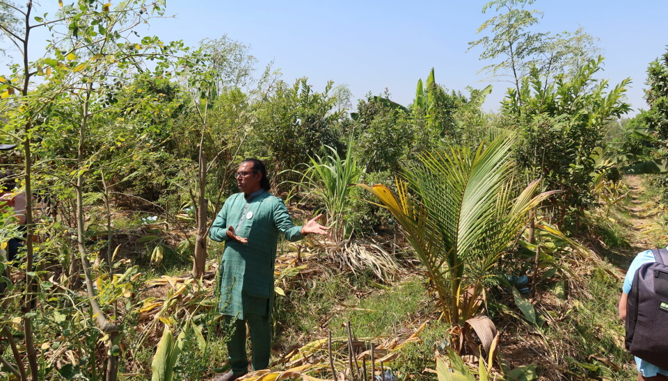 Rajdeep Patel stående mellom ulike planter i forsøkgsgården Wa Wagdo i India.