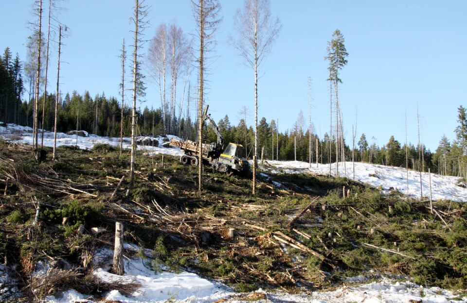 Blir det mindre flatehogst i framtida?