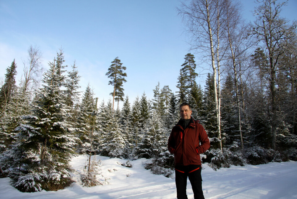 Bjørn Toverud i Aurskog ute i skogen