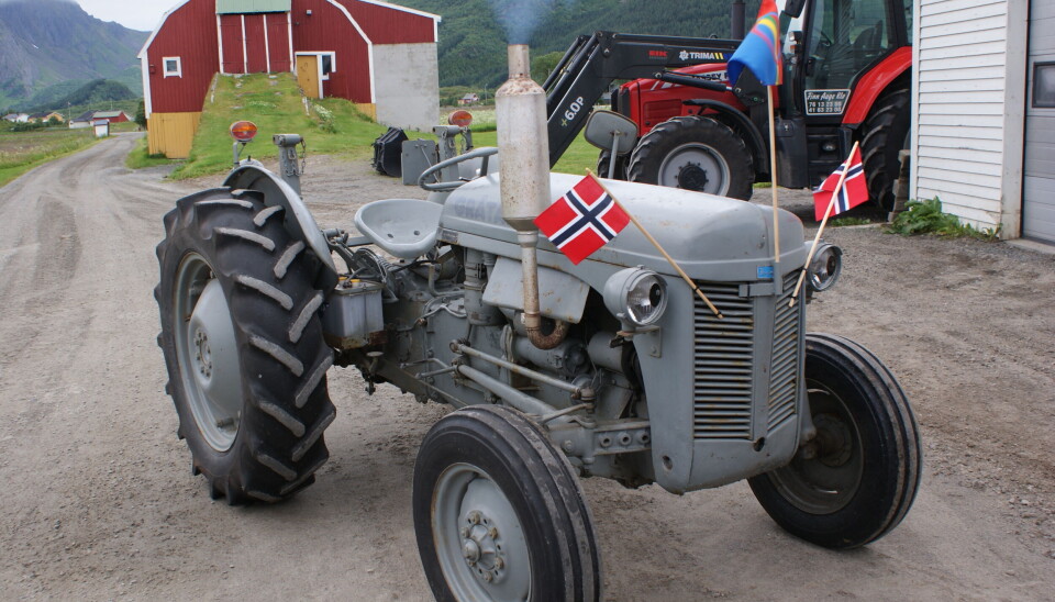 Gråtass pyntet med flagg til 17. mai Gråtass pyntet med norske og samisk flagg til 17. mai