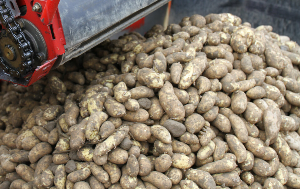 Montering av avlingsregistrering på potetopptaker