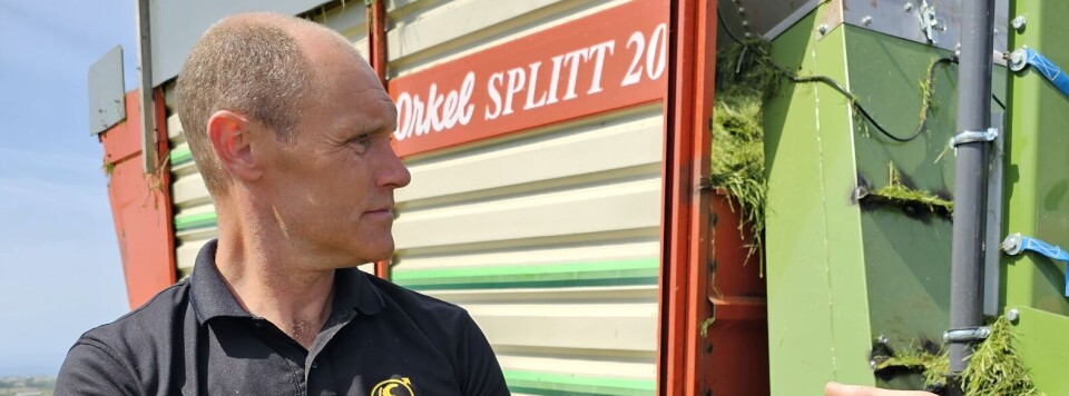 Splitt-vogna gjenoppstår