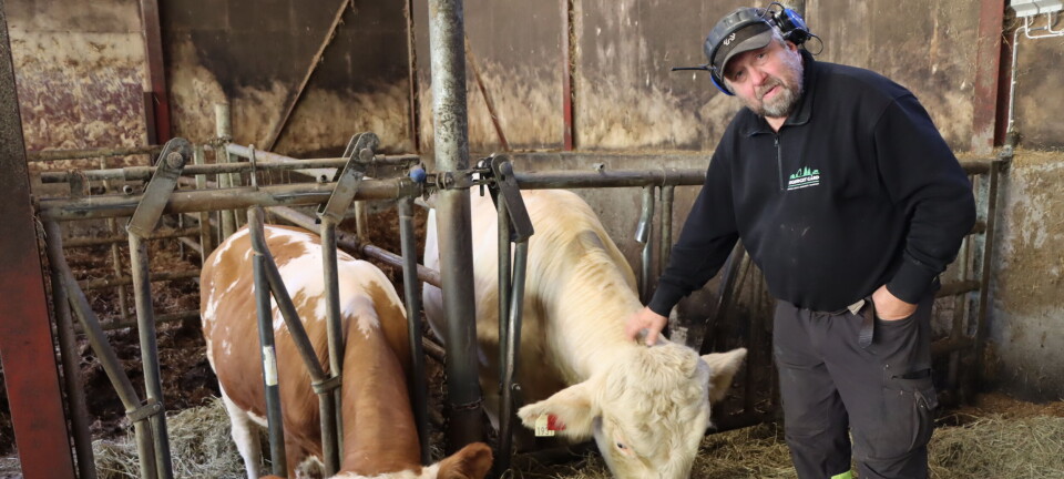 Matprisene øker, men bonden får mindre – nå vil ikke Roy mer