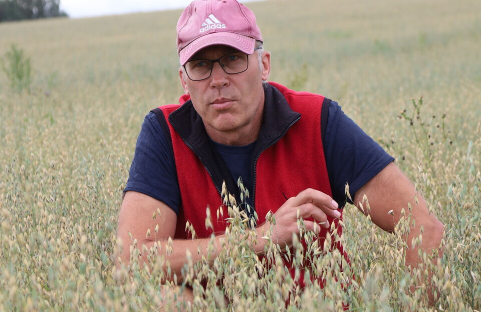 Lønnsom gard med økokorn