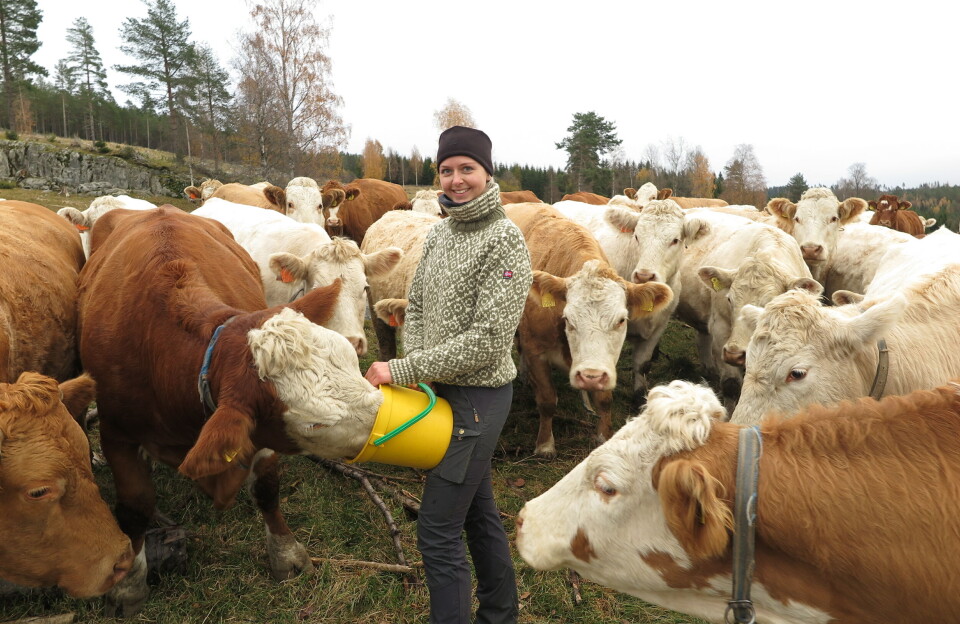 Lisa trosser pessimisme og bygger ammekufjøs